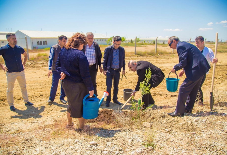 Ümummilli Liderin anadan olmasının 93 illiyi münasibətilə Bakı Limanı ağacəkmə aksiyası keçirib