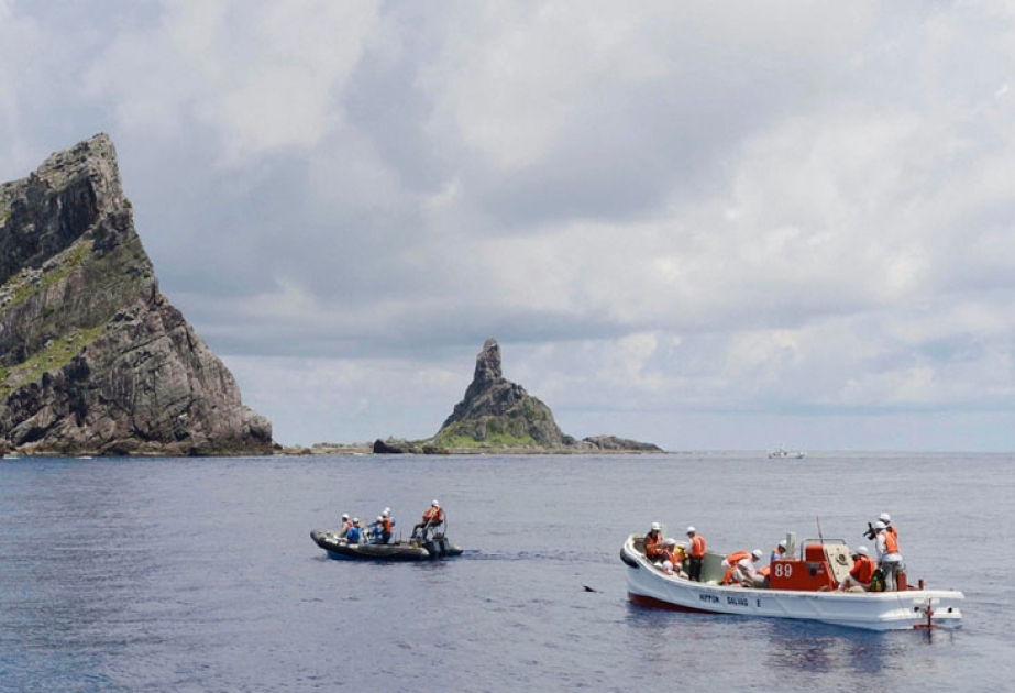 فقدان 17 شخصا إثر اصطدام قارب صيد صيني بسفينة شحن أجنبية في بحر الصين الشرقي