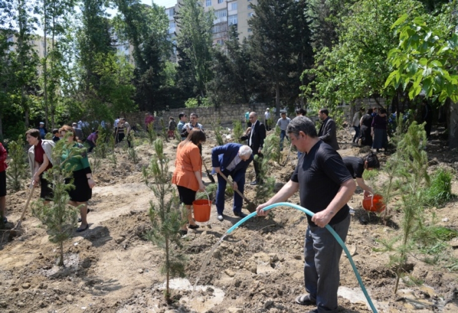 Nəsimi rayonunda Ümummilli Liderin doğum günü münasibətilə iməcilik keçirilib