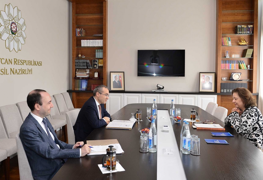 Azerbaijan, Colombia discuss educational cooperation