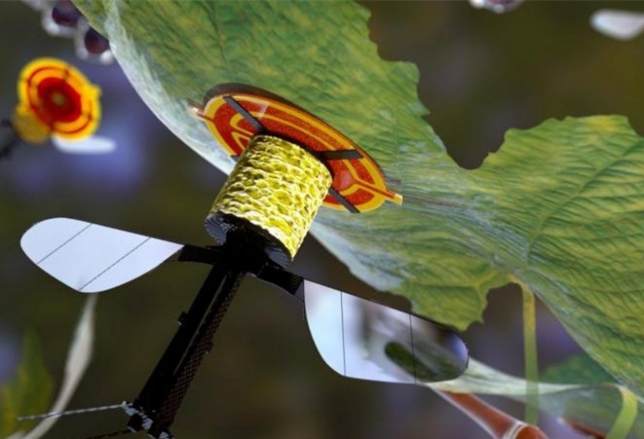 Roboter-Biene kann an Unterseite von Blättern haften