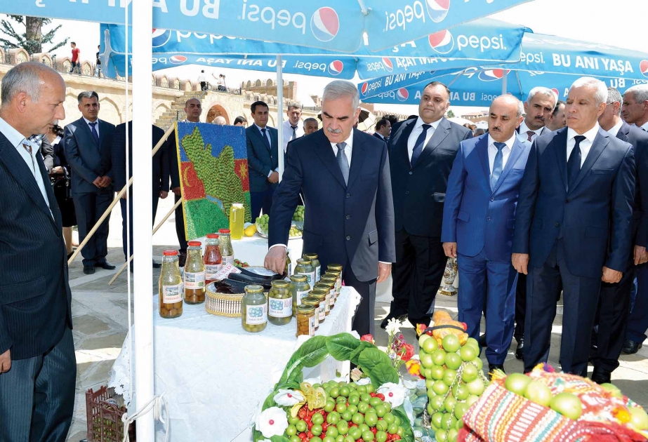 Naxçıvanda Göycə festivalı keçirilib