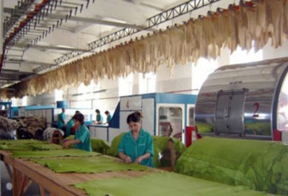 Toxuculuq sənayesi və ayaqqabıların istehsalı sahələrində 31,6 milyon manat dəyərində məhsul istehsal edilib