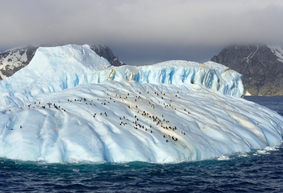 Klimawandel in der Arktis