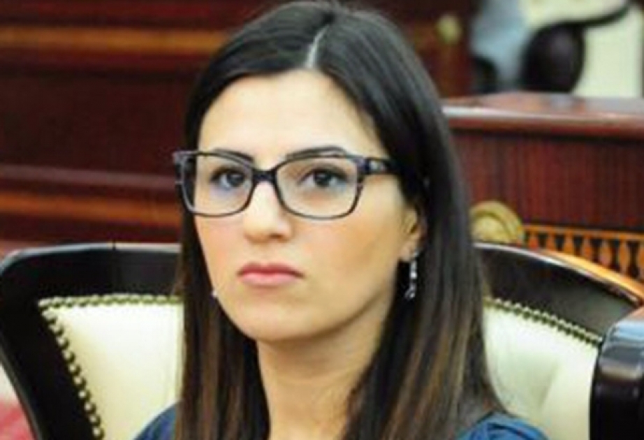 Azerbaijani MP re-elected general rapporteur on children at PACE committee