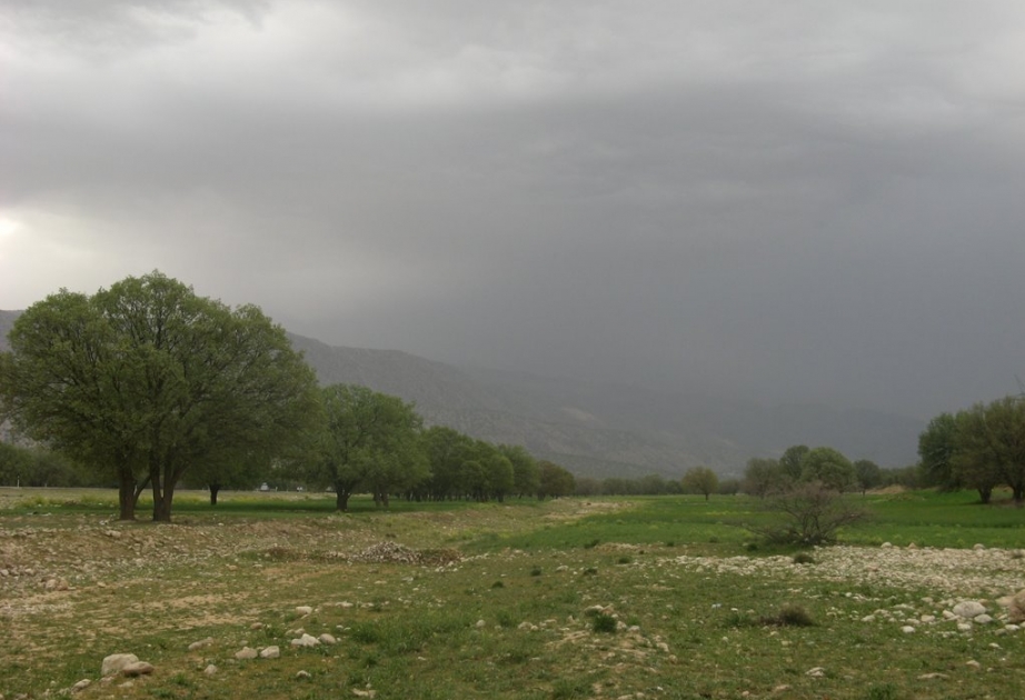 Bölgələrdə yağış yağacaq