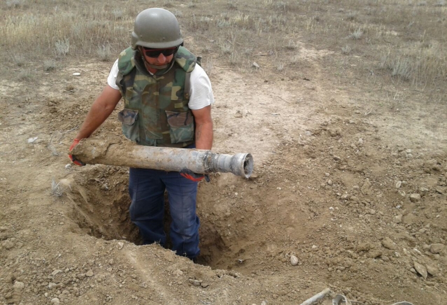 أناما تكشف عن ذخيرتين حيتين في تارتار