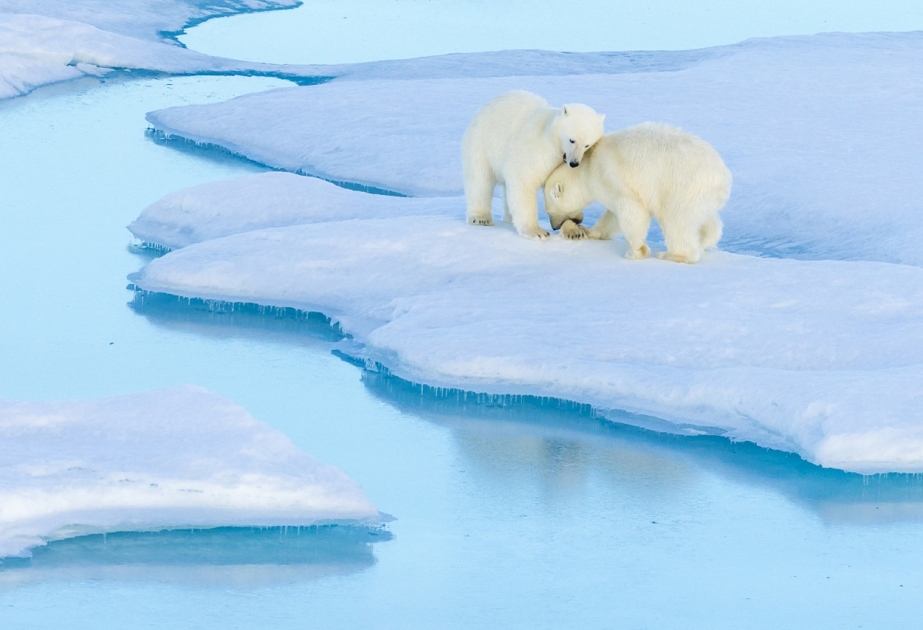 Shell gibt seine Bohrrechte in der Arktis auf
