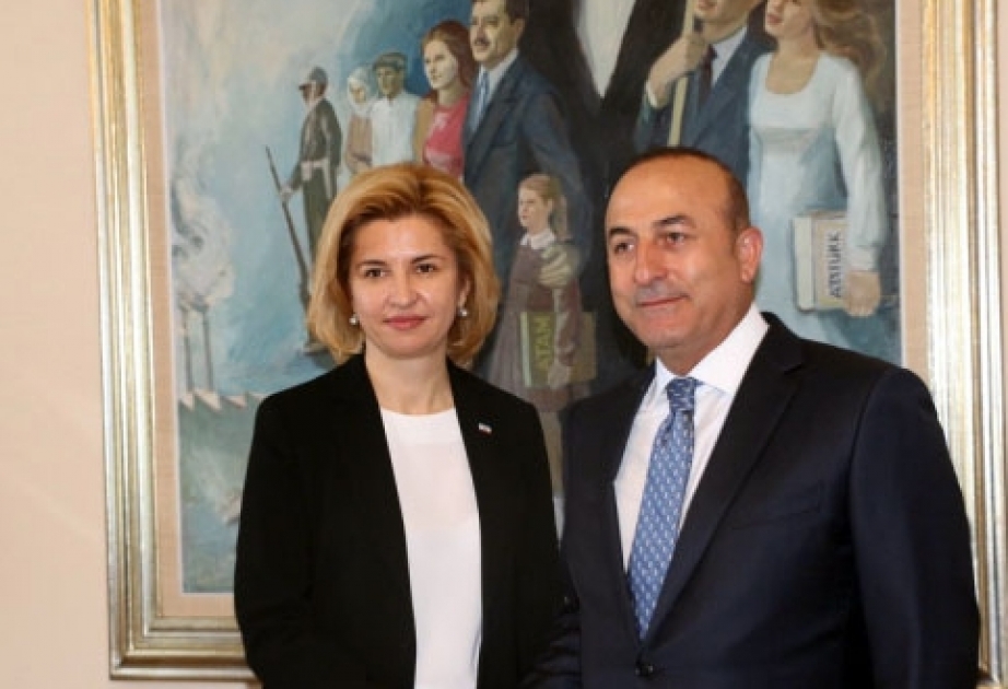 Глава МИД Турции предложил открыть представительство Гагаузии в Стамбуле