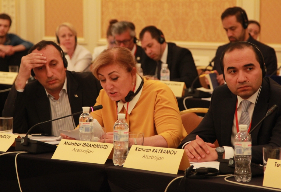 NATO PA-nın Kiyevdə keçirilən Rouz-Rout seminarında Ermənistanın təcavüzkar siyasətindən danışılıb