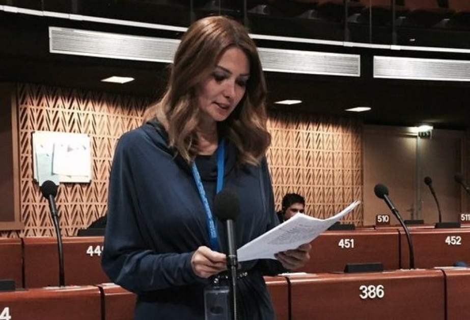 Milli Məclisin deputatı AŞPA-da Ermənistan nümayəndəsinin əsassız çıxışına sərt cavab verib
