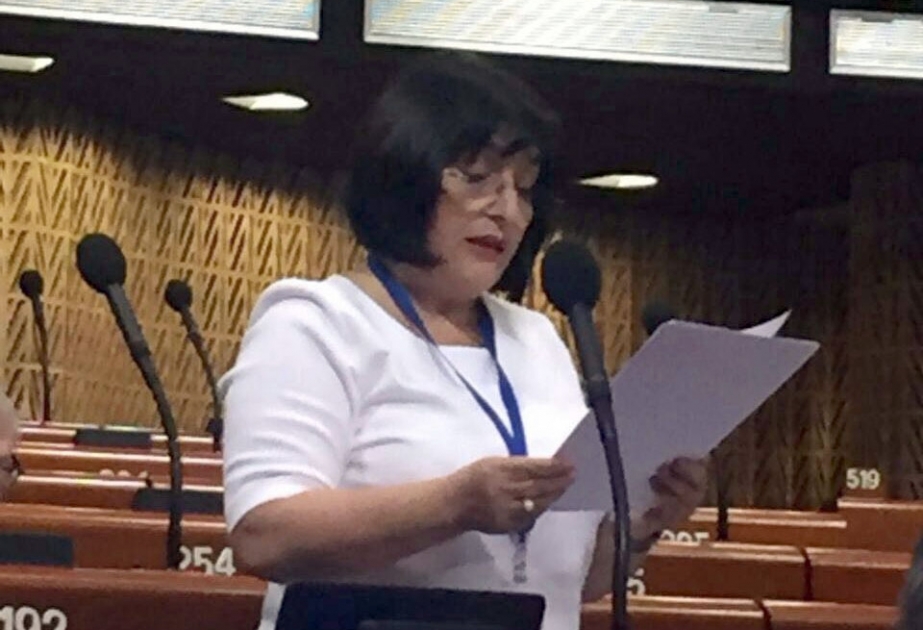 AŞPA-da Azərbaycanın multikultural modelindən və gənclər siyasətindən danışılıb