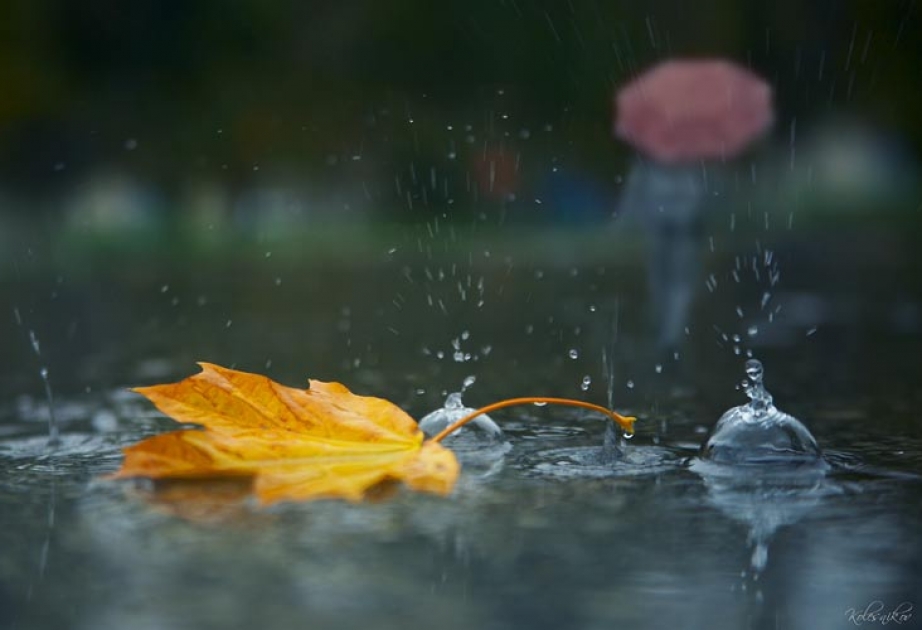 Yağmurlu hava şəraiti bazar günü də davam edəcək