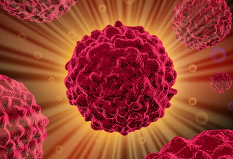 Ученые хотят создать искусственные клетки для лечения заболеваний