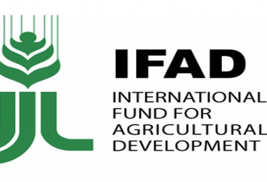 Azerbaijan, IFAD discuss cooperation prospects