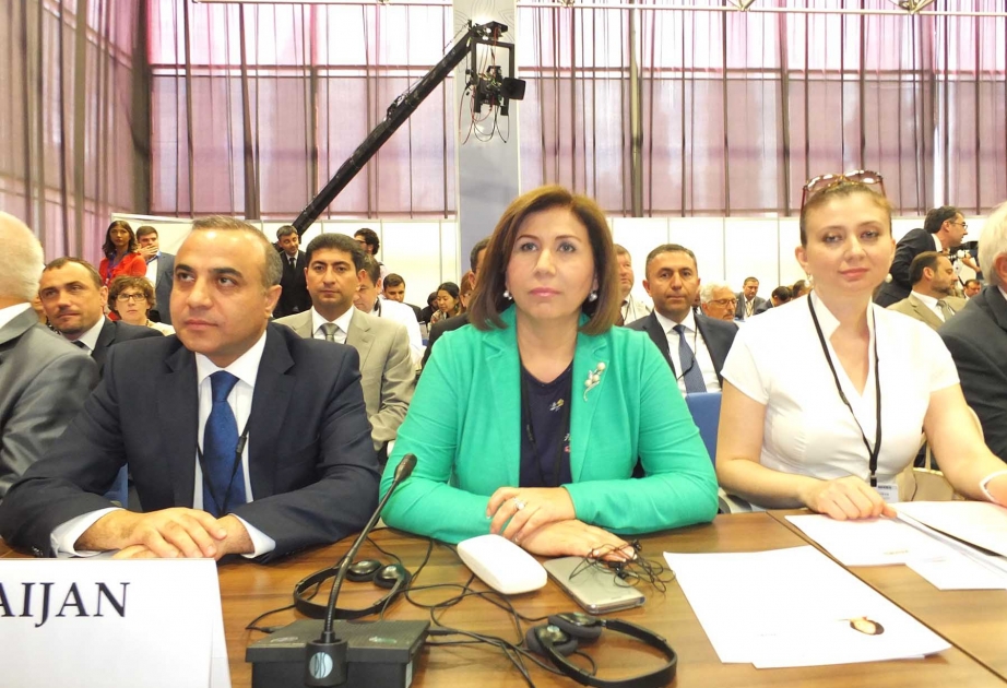 Azerbaijani MPs attends 25th session of OSCE PA in Tbilisi
