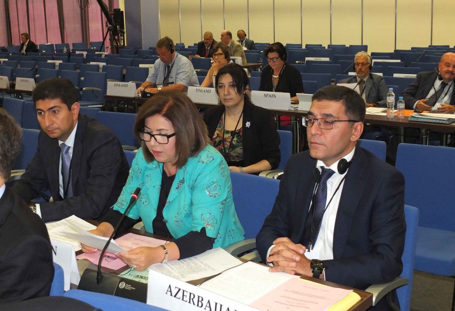 ATƏT PA-nın komitə iclasında azərbaycanlı qaçqın və məcburi köçkünlərin problemlərindən danışılıb