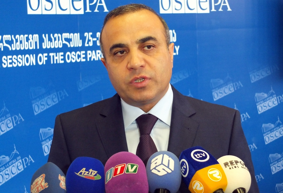 Azay Quliyev: Azərbaycanlı deputatın ATƏT PA-nın vitse-prezidenti seçilməsi diplomatiyamızın nailiyyətidir