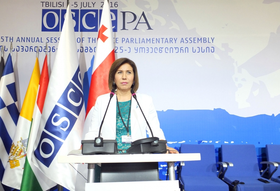 Bahar Muradova: Wir sind um ein tolerantes Verhalten zur Verletzung von Prinzipien der Schlussakte von Helsinki besorgt