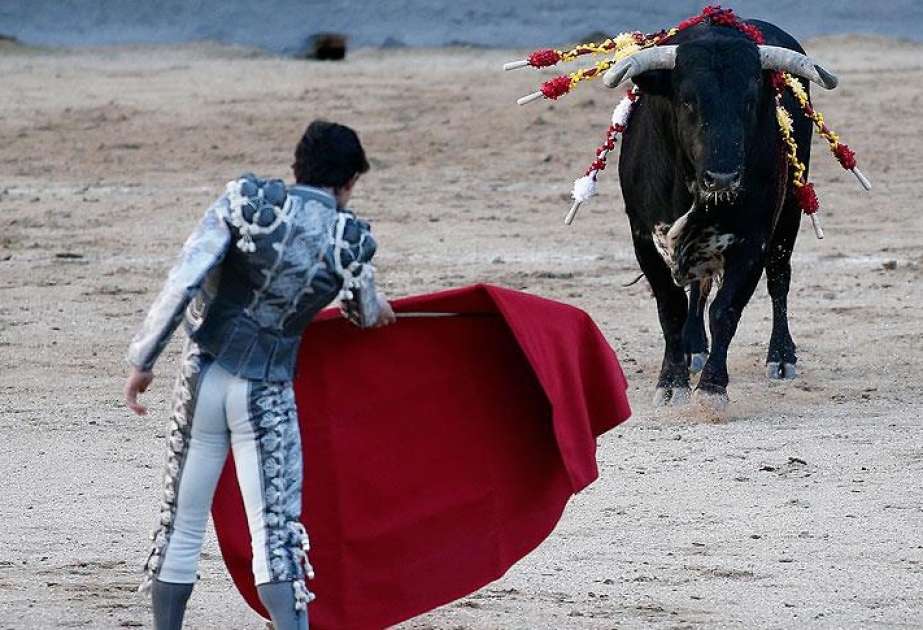 İspaniyadakı öküz yarışları zamanı matador dünyasını dəyişib