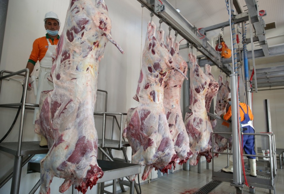 إنتاج 231.1 ألف طن من اللحم في يناير – يونيو