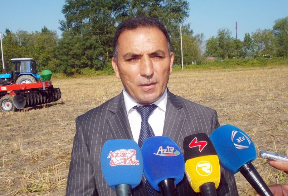 In diesem Jahr wird in Aserbaidschan Erzeugung von mehr als 3 Millionen Tonnen Getreide erwartet
