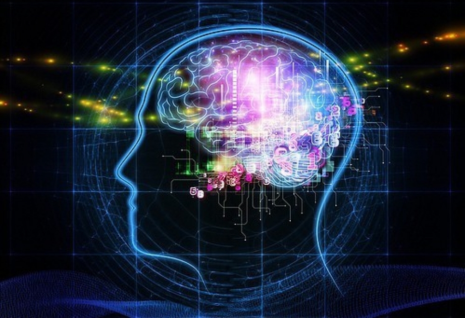 Virtual beyin epilepsiyanın müalicəsində həkimlərin köməyinə gəlir