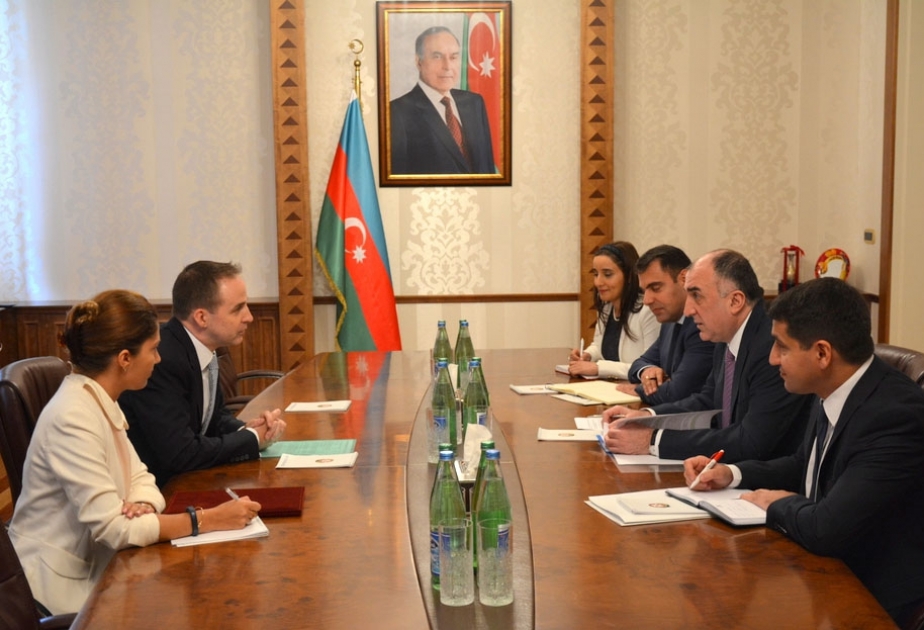 Эдвард Карвадин: Азербайджан достиг большого прогресса в области детской и молодежной политики