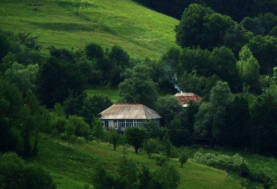 Tovuzda kənd turizmi böyük potensiala malikdir