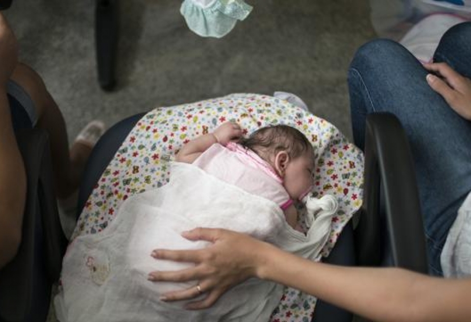 Im US-Bundesstaat Texas stirbt Neugeborenes an Folgen einer Zika-Infektion