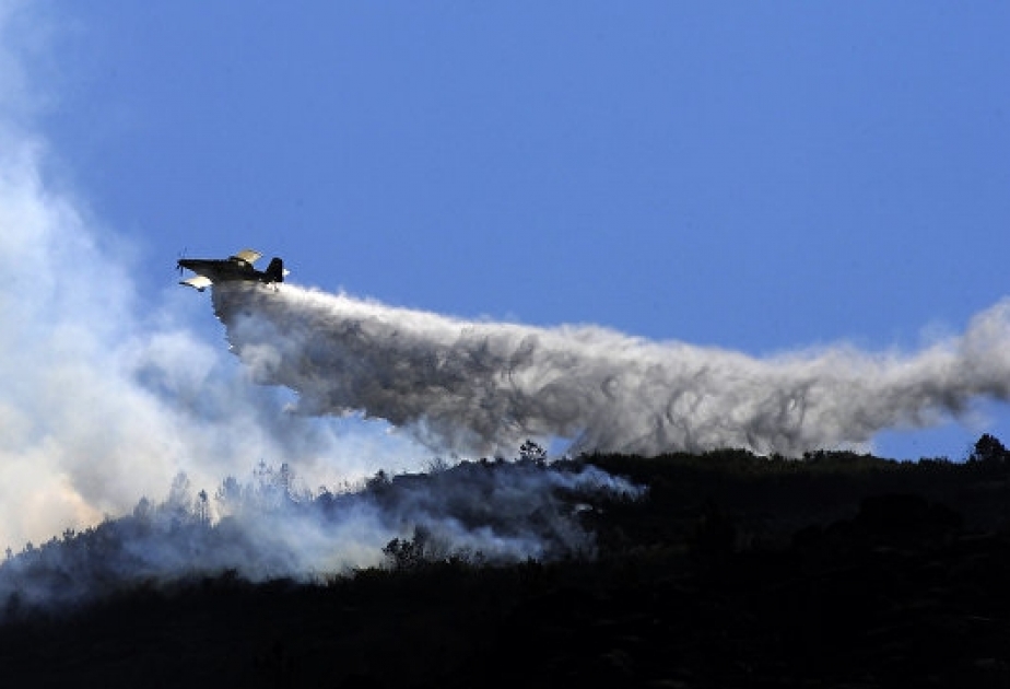 Wildfires destroy over 9,000 acres of land in Spain’s Galicia