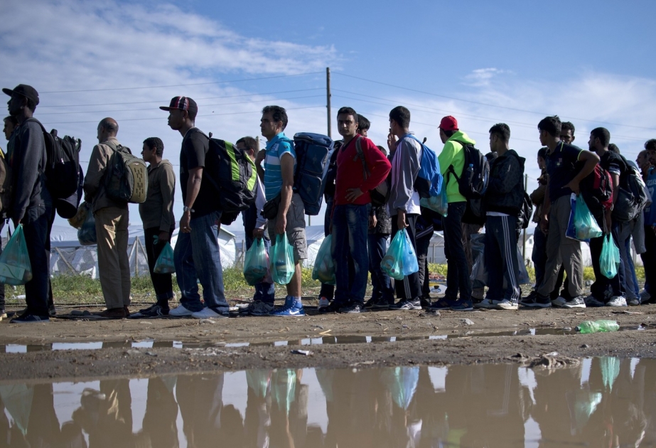 В Австрии могут объявить чрезвычайное положение из-за беженцев