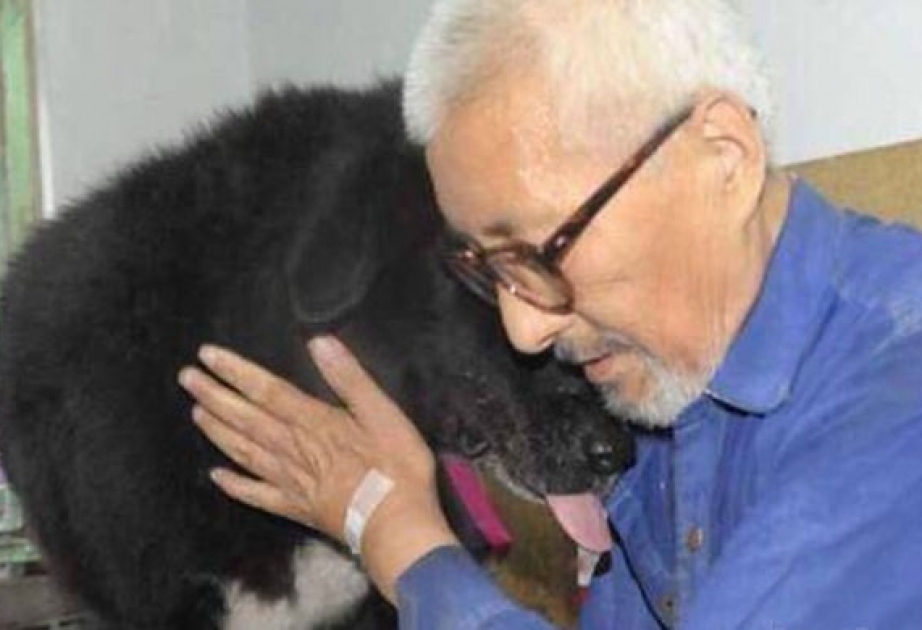 Пожилой китаец завещал все сбережения своей собаке