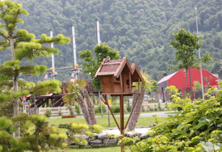 Gabala lockt ausländische Touristen mit seiner Schönheit an VIDEO