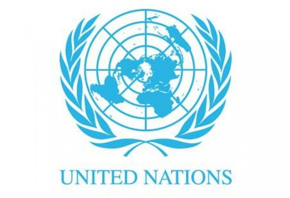 World Humanitarian Day: a day of celebration and reflection