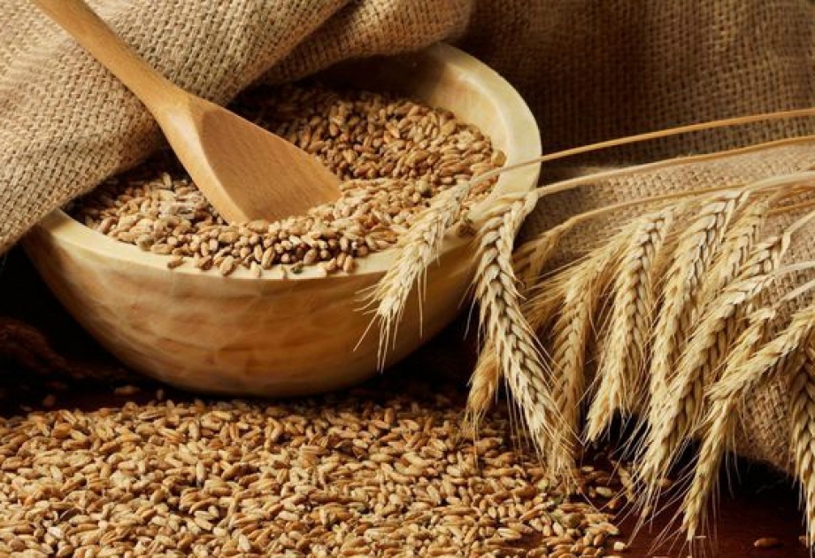 In diesem Jahr in Aserbaidschan mehr als 2,8 Mio. Tonnen Getreide erzeugt