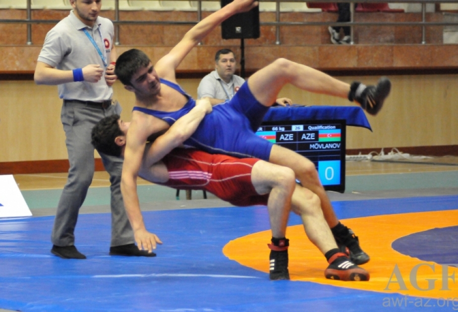 Junior Azerbaijani wrestler crowned world champion