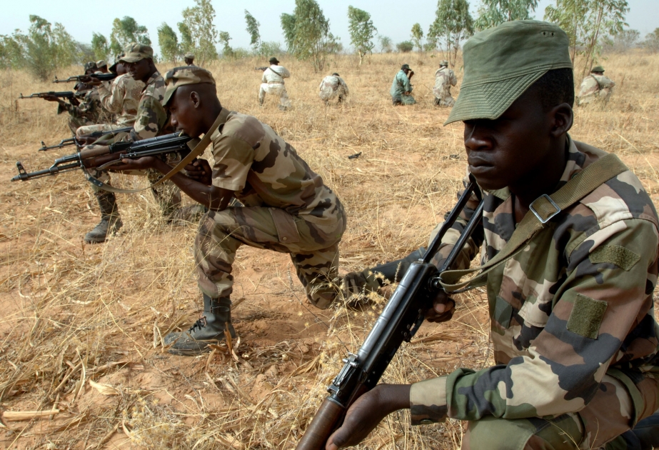 Nigerdə “Boko Haram” qruplaşmasının 38 silahlısı məhv edilib