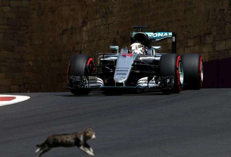 “Formula-1” üzrə Sinqapur Qran-prisində maraqlı hadisə baş verib