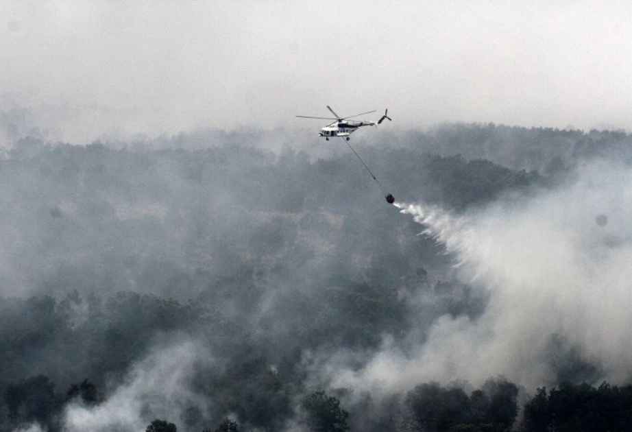 Waldbrände in Indonesien im vergangenen Jahr und ihre schlimmere Folgen
