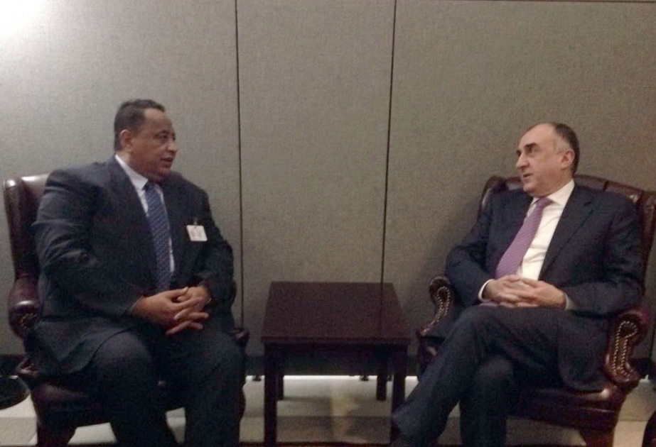 Ибрагим Гандур: Судан полностью поддерживает территориальную целостность Азербайджана