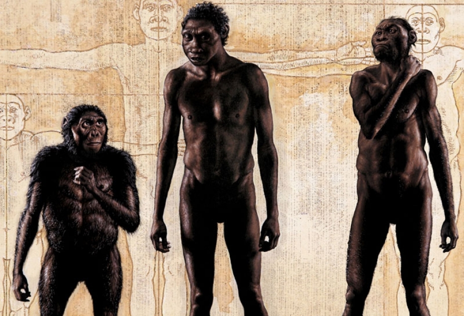 Erster Homo sapiens in Afrika