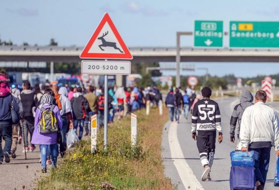 В Дании зарегистрирован пятилетний минимум поданных за месяц прошений на статус беженца