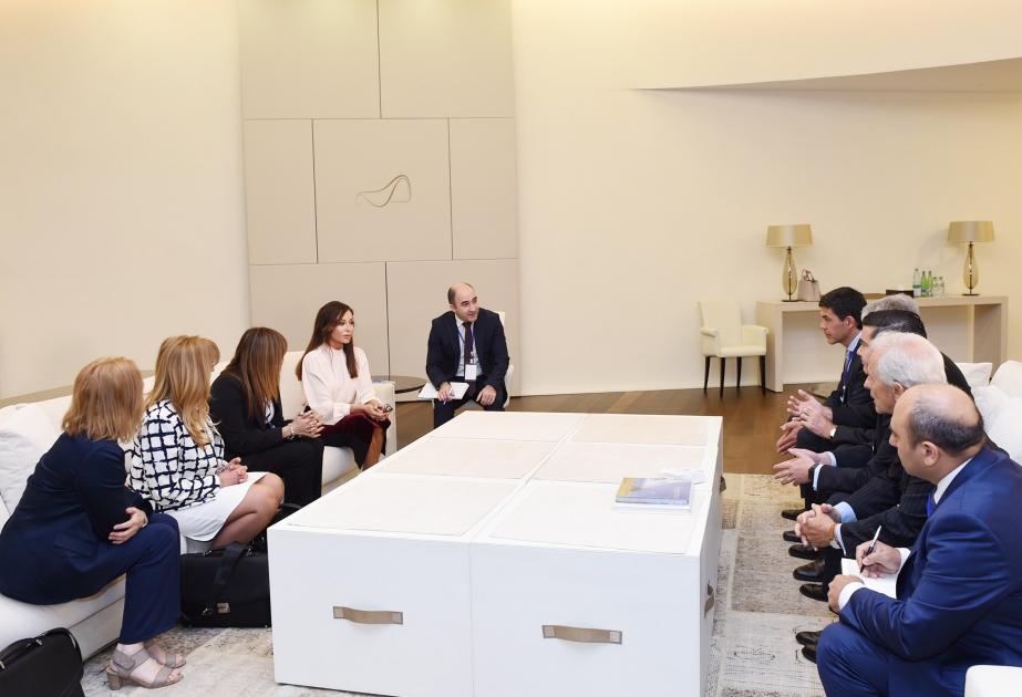 Azerbaijani first lady Mehriban Aliyeva meets with delegation of Chamber of Deputies of Argentine National Congress