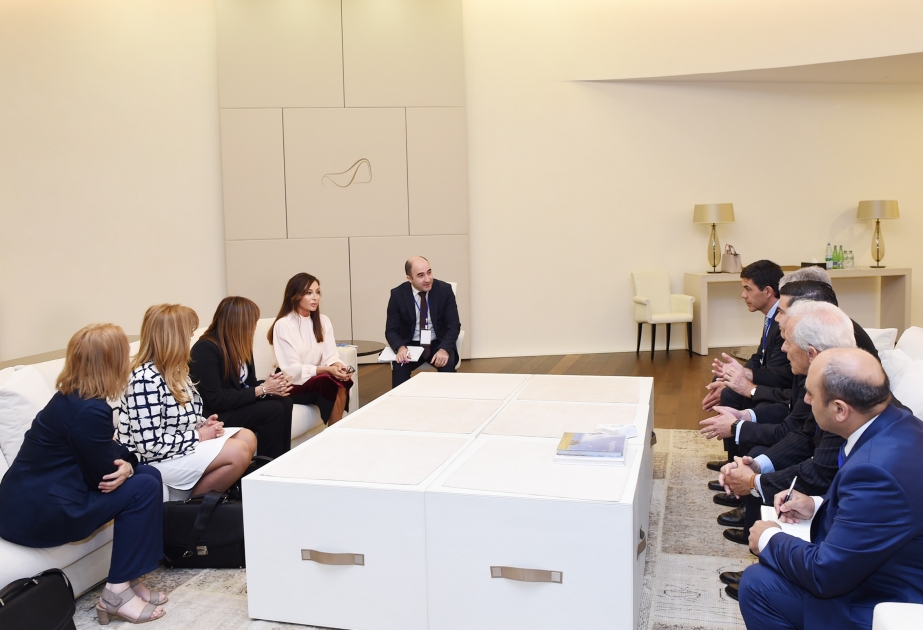 Mehriban Aliyeva rencontre la délégation de la Chambre des députés d’Argentine