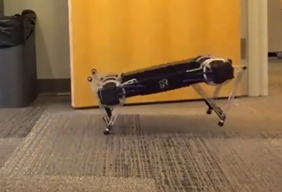 Инженеры представили робота-собаку