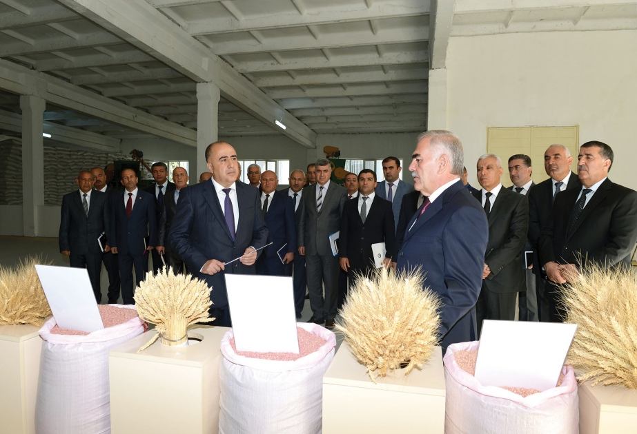 Naxçıvanda toxumçuluq təsərrüfatlarının fəaliyyətinin təşkili və qarşıda duran vəzifələr barədə səyyari müşavirə keçirilib