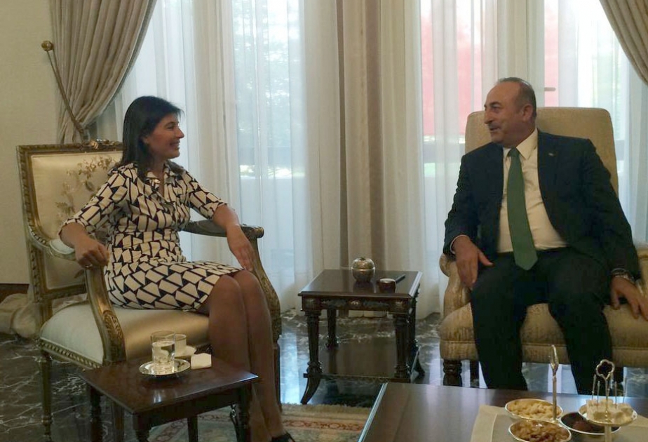 La présidente de la Fondation de la culture et du patrimoine turcs rencontre le ministre turc des Affaires étrangères