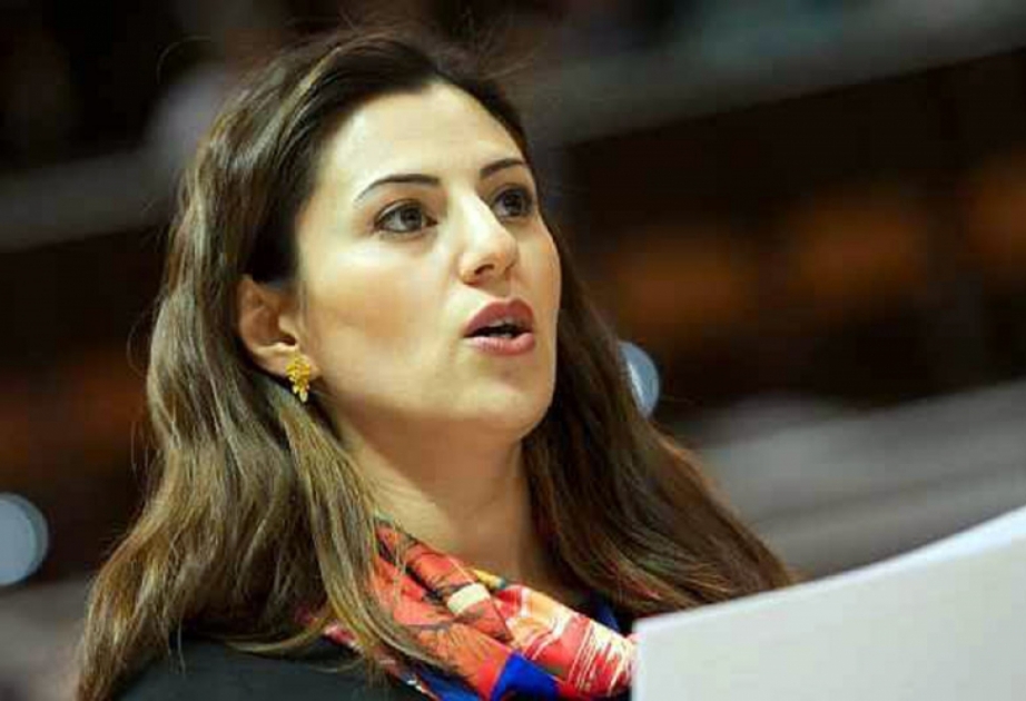 Une députée azerbaïdjanaise élue présidente de la Sous-commission de l’APCE sur la Charte sociale européenne