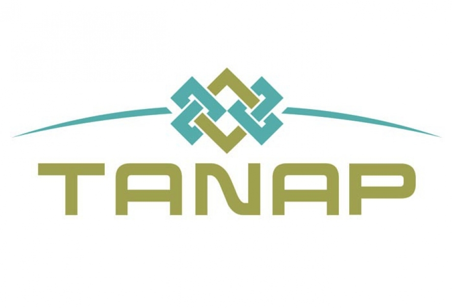 Earthworks on construction of TANAP's compressor and metering stations completed